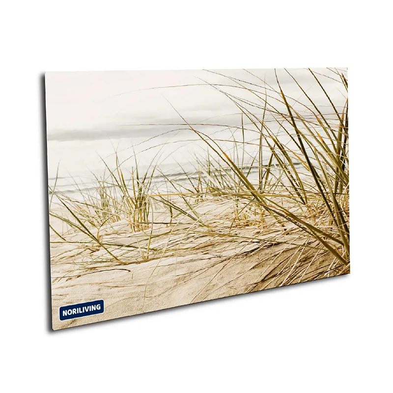 Muster Küchenrückwand Dünen Gras Strand 543a