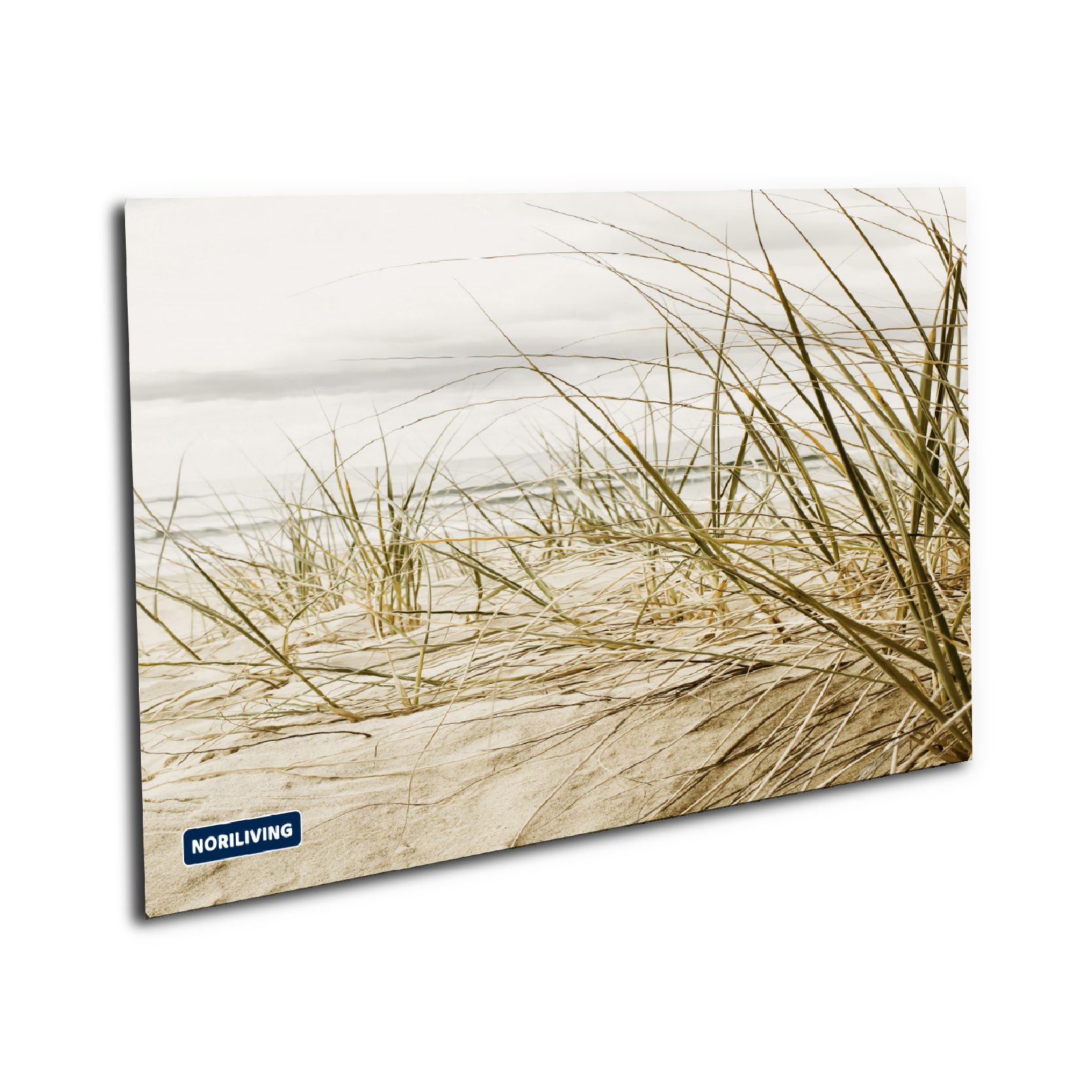 Strandmotiv mit Dünen und Gräsern auf einer Leinwand von Noriliving