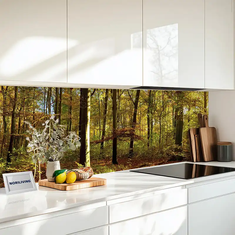 Küchenrückwand Echtglasoptik Profiline Herbstlicher Buchenwald im Sonnenlicht 316